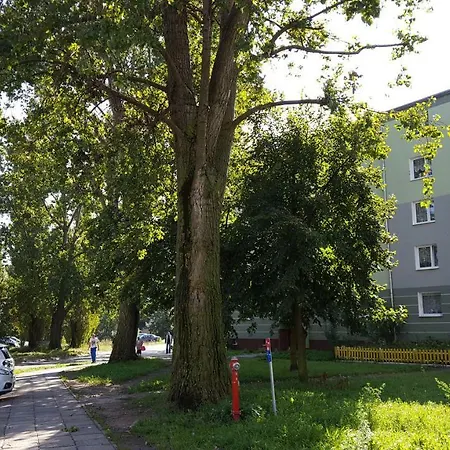 Apartament Gdansk - nad morzem Zewnętrze zdjęcie