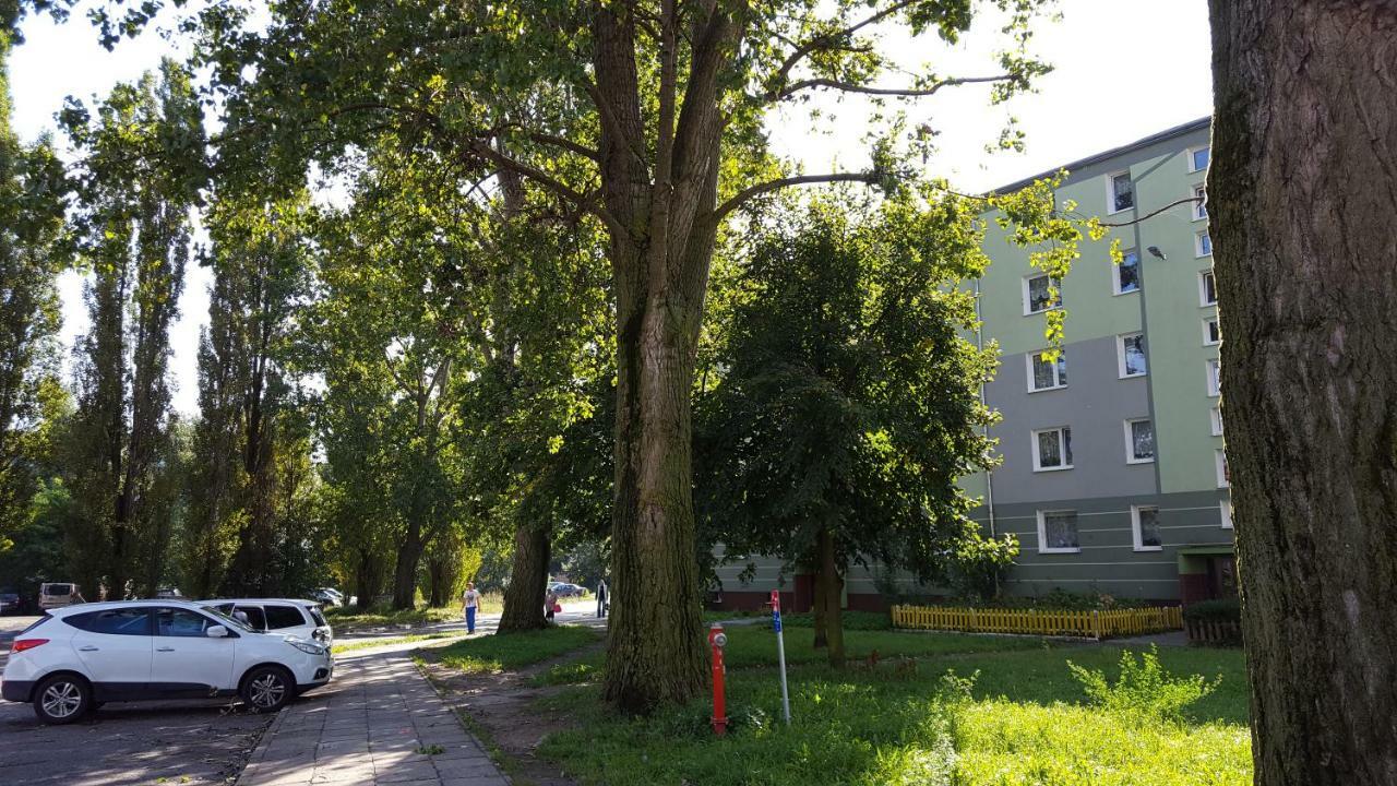 - Nad Morzem Apartament